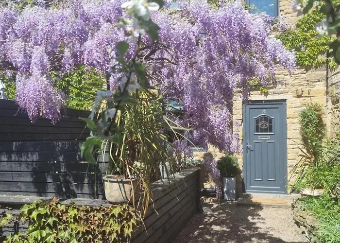 Rose Oulton Лидс